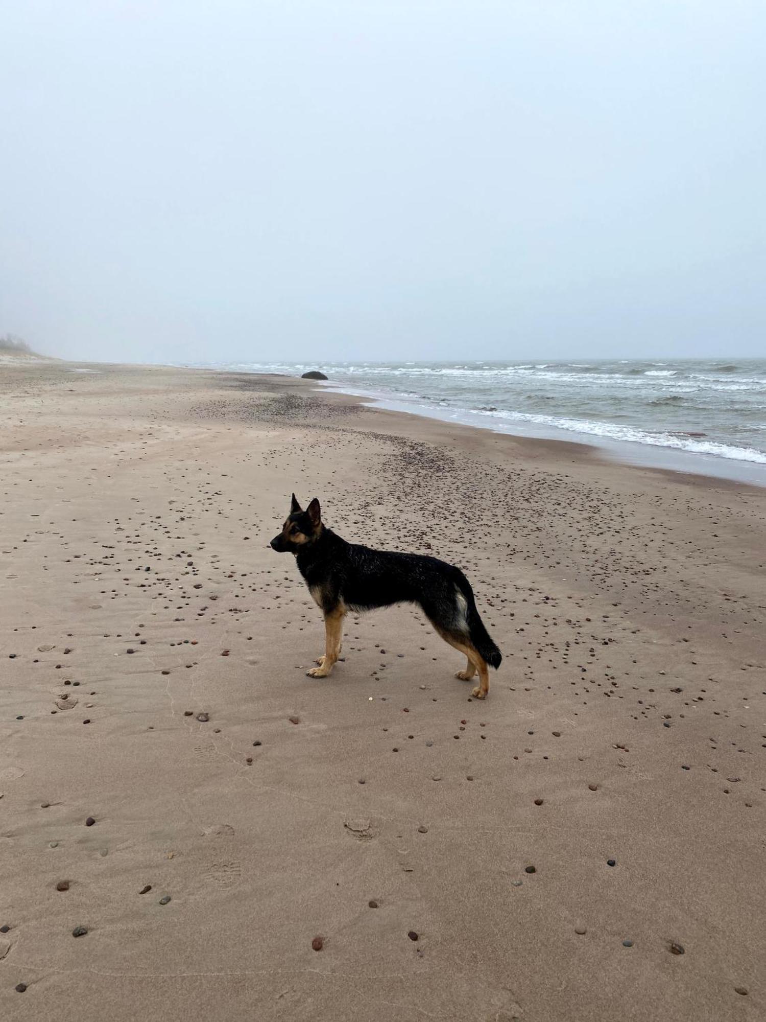 Provincija Palanga Exterior foto