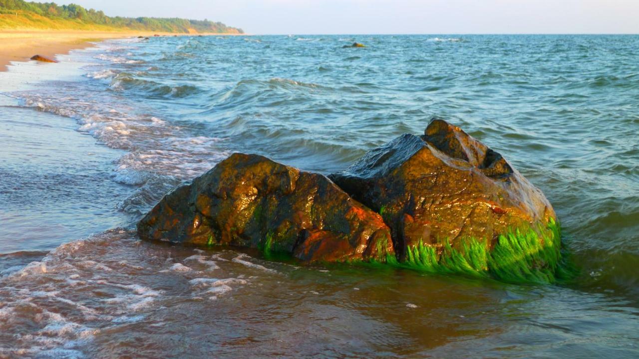 Provincija Palanga Exterior foto